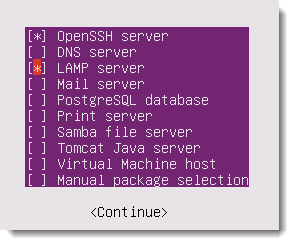 Ubuntu Server 14.04