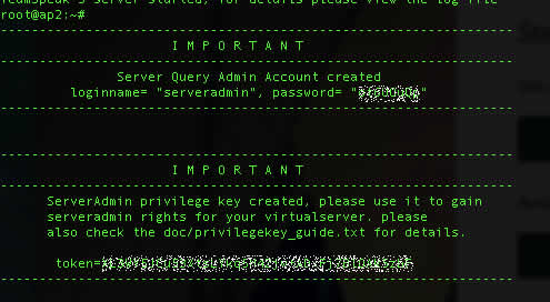 teamspeak_console_details
